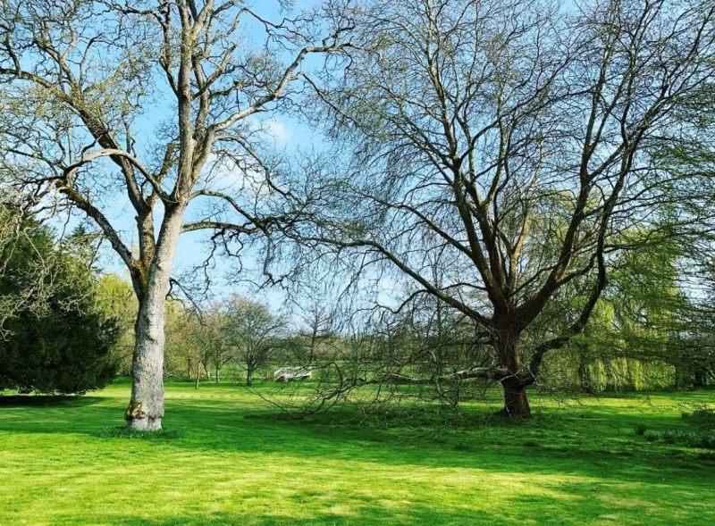 Nether Winchendon House